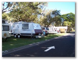Terrace Reserve Holiday Park - Brunswick Heads: Powered sites for caravans