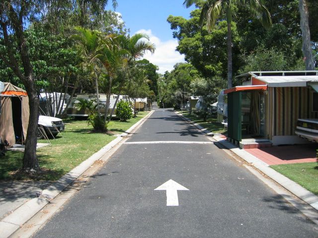 Terrace Reserve Holiday Park 2005 - Brunswick Heads: Shady trees and good roadways within the park