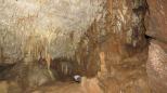 Buchan Caves Reserve - Buchan: Great caves.