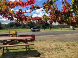 Bulga Tavern - Bulga: The camping area is directly across the road from the Tavern.