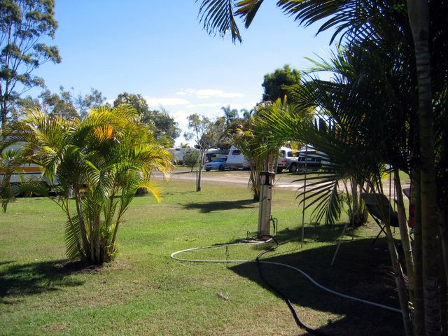 Glenlodge Caravan Village - Bundaberg: Powered sites for caravans with lots of palms