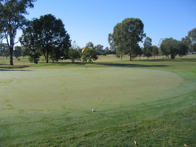 Bundaberg Golf Club - Bundaberg: Green on Hole 1