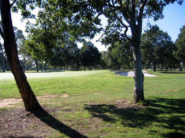 Bundaberg Golf Club - Bundaberg: Approach to the Green on Hole 3