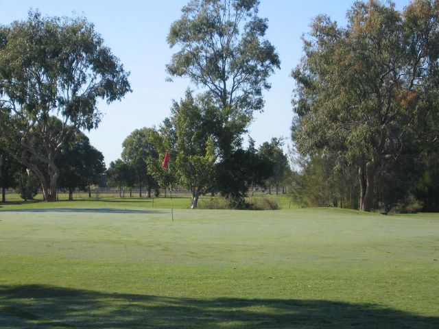 Bundaberg Golf Club - Bundaberg: Green on Hole 5