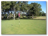 Bundaberg Golf Club - Bundaberg: Green on Hole 8