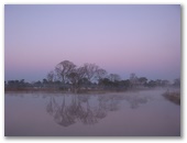 Flame Lily Adventures Caravan Park - Burrum River: Early morning mist