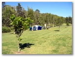 Glen Villa Resort - Byron Bay: Tent sites next to natural bushland