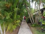 BIG4 Cairns Coconut Holiday Resort - Woree Cairns: Pathway through gardens