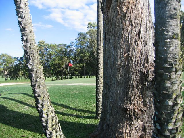 Cairns Golf Course - Cairns: Green on Hole 9