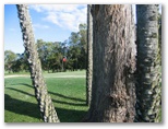 Cairns Golf Course - Cairns: Green on Hole 9