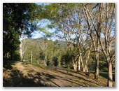 Cambroon Caravan and Camping Park - Cambroon: Shady trees add character to the park.