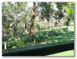 Lakes and Craters Holiday Park - Camperdown: Views of native bushland from cottage verandah.