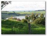 Lakes and Craters Holiday Park - Camperdown: Views of Crater Lakes
