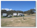 Canberra Carotel Caravan Park - Watson: Powered sites for caravans with bushland background