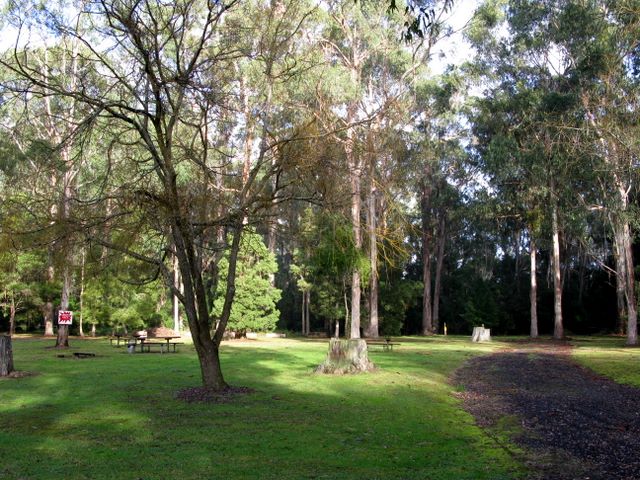 Cann River Rainforest Caravan Park - Cann River: Area for tents and camping