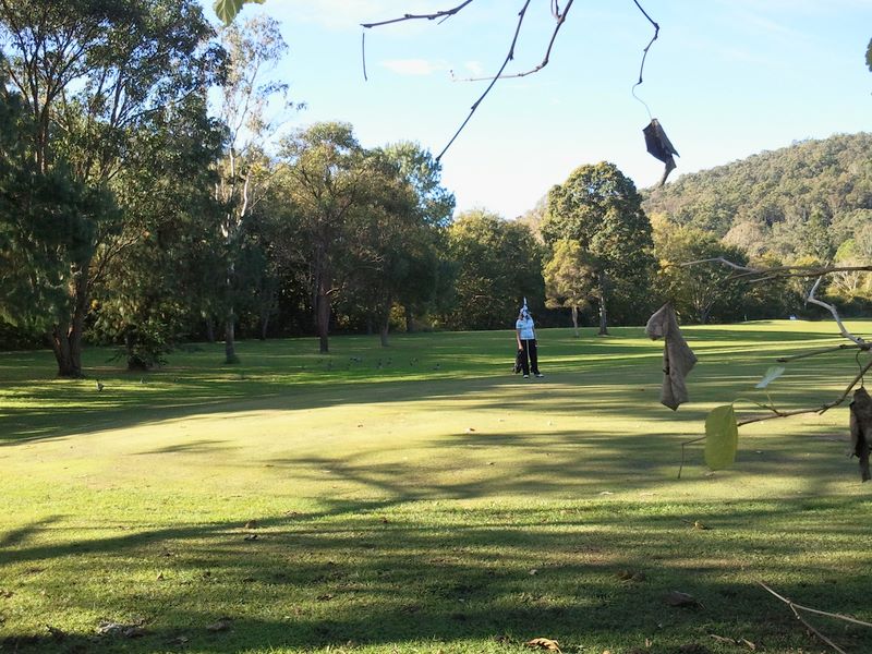 Canungra Area Golf Club - Canungra: Green on Hole 8 looking back along the fairway.