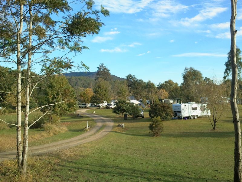 River Bend Country Bush Camping - Canungra: Road into camping area
