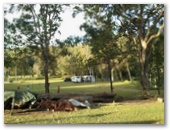 River Bend Country Bush Camping - Canungra: Lots of open space