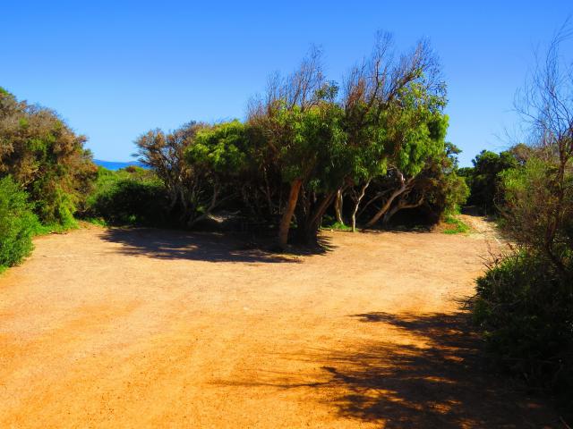 Le Grand Beach Campground - Cape Le Grand Nationalpark: Campsite...