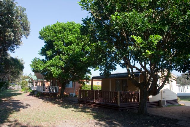 Toowoon Bay Holiday Park - Toowoon Bay: Shady cottage accommodation