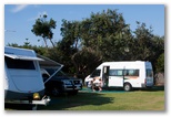 Toowoon Bay Holiday Park - Toowoon Bay: Powered sites for caravans