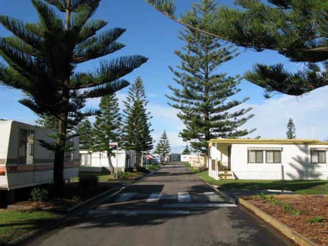 Toowoon Bay Holiday Park - Toowoon Bay NSW 2009: Good paved roads throughout the park
