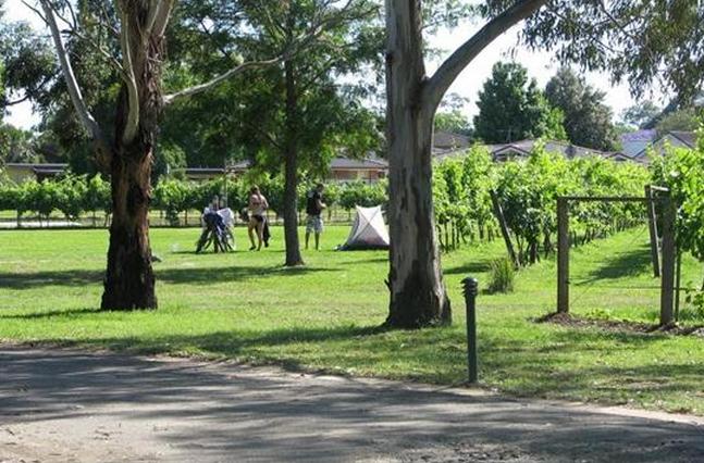BIG4 Valley Vineyard Tourist Park - Cessnock: Area for tents and camping