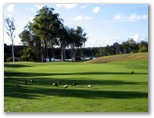 Charlestown Golf Course - Charlestown: Green on Hole 13