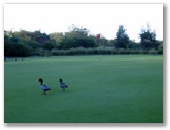 Charlestown Golf Course - Charlestown: Green on Hole 15