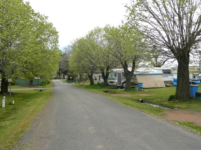 Lake Anderson Caravan Park - Chiltern: Good paved roads throughout the park