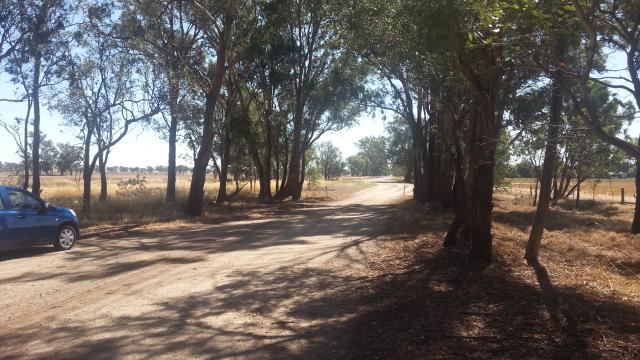 Rutherglen East Rest Area - Chiltern: Gravel roads through the area.  These may prove problematic after heavy rain or storms.