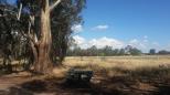 Rutherglen East Rest Area - Chiltern: Typical Australian countryside