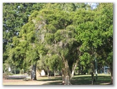 Chinderah Bay Drive - Chinderah: Turnock Park is opposite