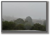 Clare Caravan Park - Clare South: Foggy morning