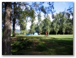 Williams River Caravan Park - Clarence Town: Area for tents and campers