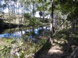 Waverley Creek Rest Area - Clarke Creek: Walk down embankment to creek.