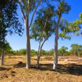 Mary Kathleen Rest Area - Cloncurry: Vacant area