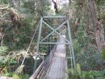 Bemm River Scenic Reserve - Club Terrace: swinging bridge