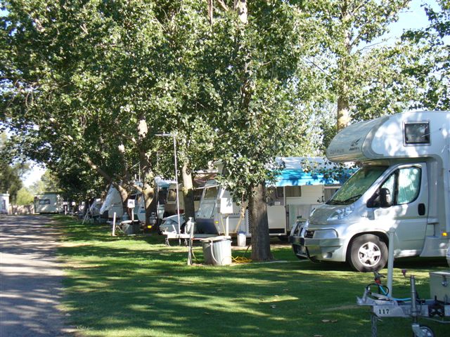 The Cobram Willows Caravan Park - Cobram: Shady powered sites for caravans