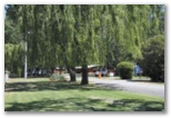 The Cobram Willows Caravan Park - Cobram: Park entrance showing the magnificent willows after which the park is named.