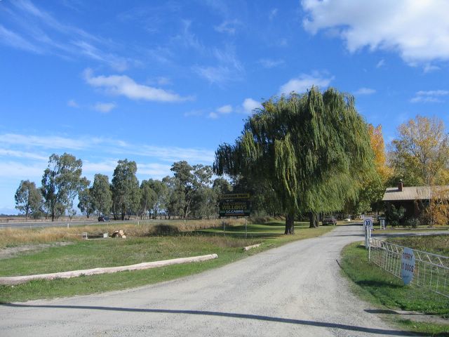 The Cobram Willows Caravan Park May 2006 - Cobram: View of the park from the road
