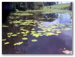 Bonville International Golf Resort - Bonville: Monet's lily pond on the way to Hole 9