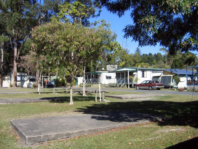 Koala Villas & Caravan Park - Coffs Harbour: Drive through powered sites for caravans