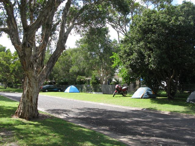 Park Beach Holiday Park - Coffs Harbour: Area for tents and camping