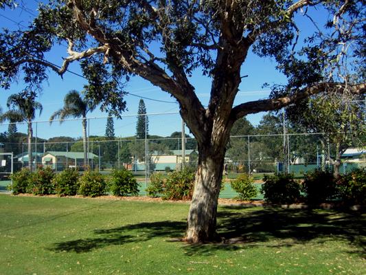 Park Beach Holiday Park 2005 - Coffs Harbour: Tennis courts