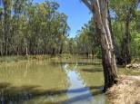 Spencers Bridge - Gannawarra: Lovely views of the creek. Unfortunately the water is not all that clear due to carp.