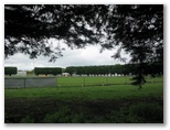 Central Caravan Park - Colac: Powered sites have views of the Showground.