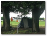Central Caravan Park - Colac: Area for tents and camping