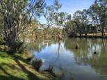 Aysons Reserve Camping Area - Burnewang: Beautiful river views are available along the banks of the camping area.