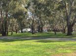 Aysons Reserve Camping Area - Burnewang: Nice open areas are available away from the river.